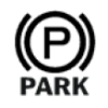 Park Brake Applied Indicator Icon